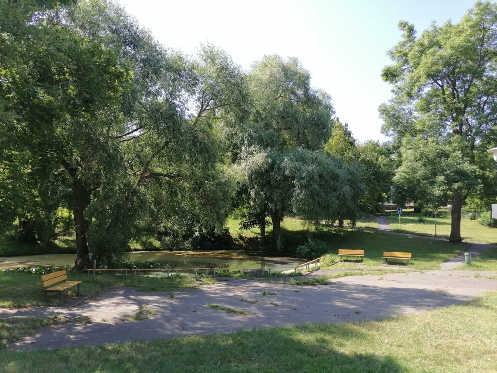 IMG-20230725-WA0004
